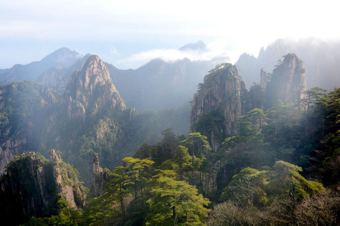 PHOTOWALL / Huangshan Scenery (e318904)