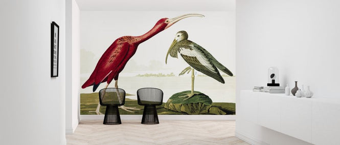 PHOTOWALL / Scarlet Ibis - John James Audubon (e318911)