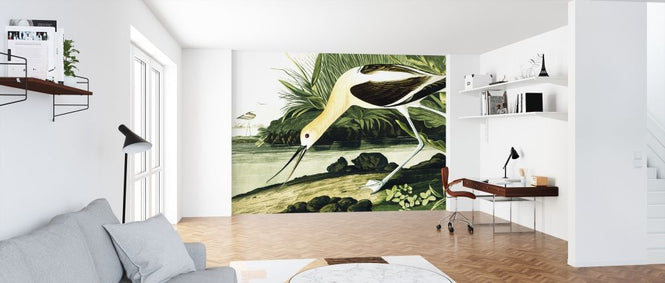 PHOTOWALL / Barn Swallow - John James Audubon (e318912)