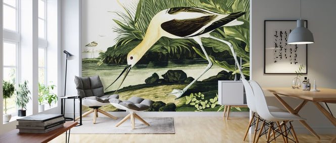 PHOTOWALL / Barn Swallow - John James Audubon (e318912)