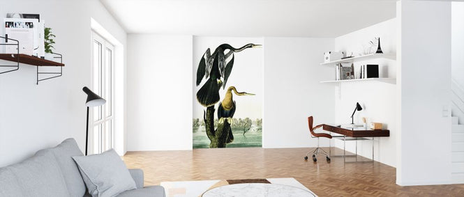PHOTOWALL / Blacked-Billed Darter - John James Audubon (e318913)