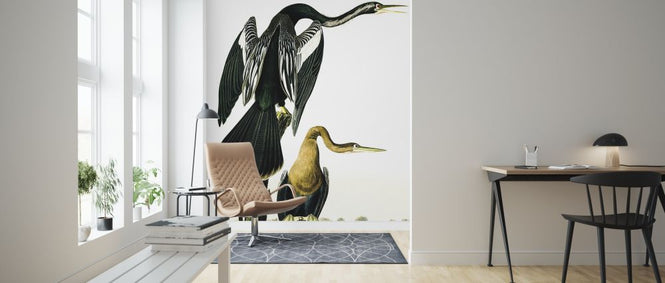 PHOTOWALL / Blacked-Billed Darter - John James Audubon (e318913)