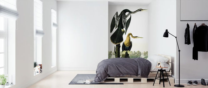 PHOTOWALL / Blacked-Billed Darter - John James Audubon (e318913)