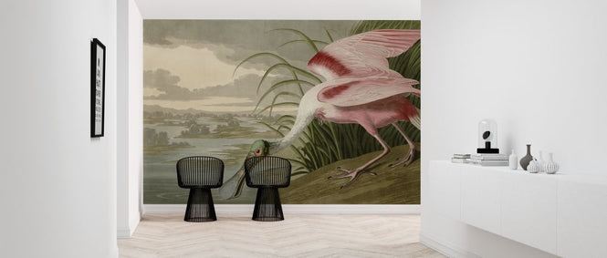 PHOTOWALL / Birds of America - John James Audubon (e318670)