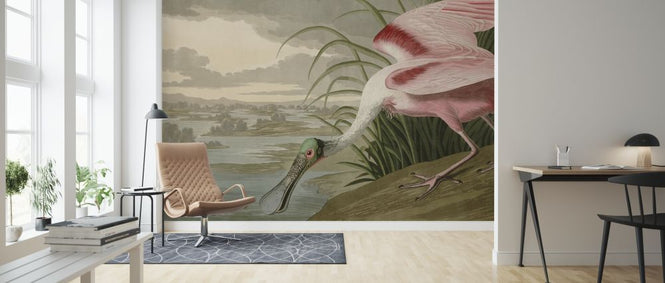 PHOTOWALL / Birds of America - John James Audubon (e318670)