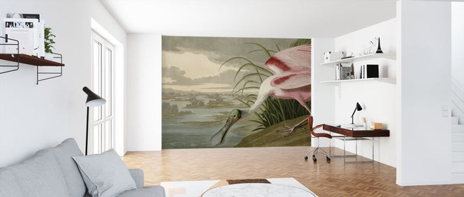 PHOTOWALL / Birds of America - John James Audubon (e318670)