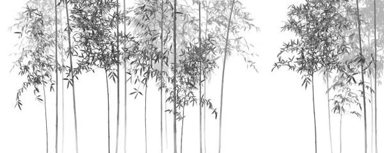 PHOTOWALL / Bamboo Trees View - bw (e318690)