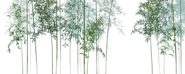 PHOTOWALL / Bamboo Trees View (e318692)