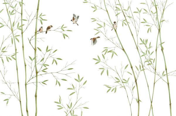 PHOTOWALL / Bamboo Birds (e318726)