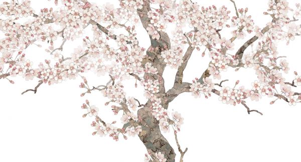 PHOTOWALL / Doux Blossom (e318744)
