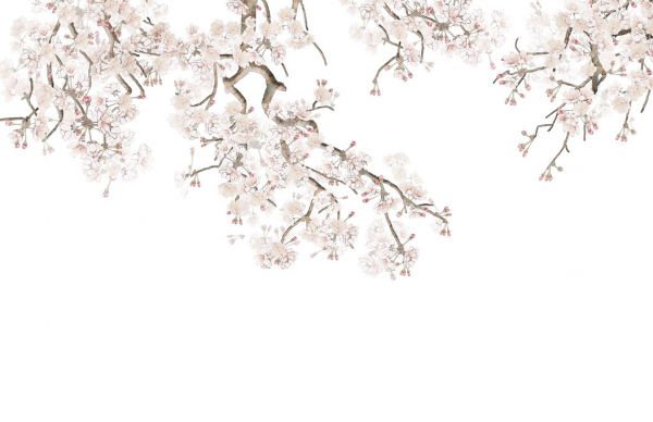 PHOTOWALL / Hanging Branches (e318877)