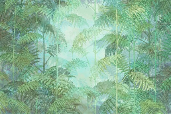PHOTOWALL / Into the Fern (e319146)