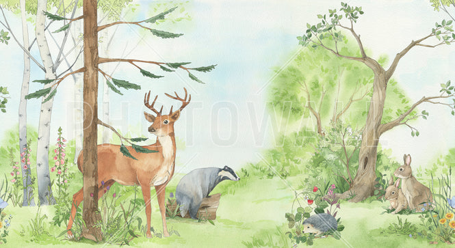 PHOTOWALL / Forest Animal Friends (e319153)