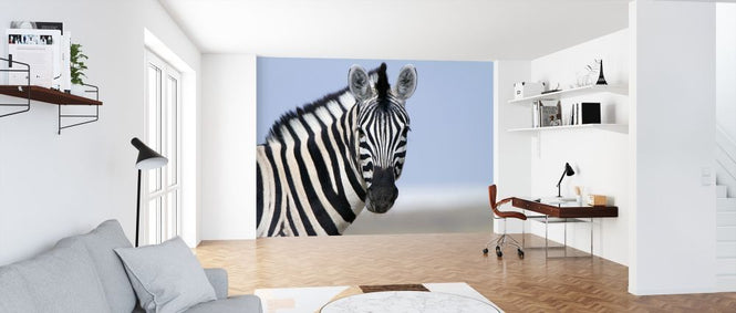 PHOTOWALL / Zebra Looking (e317842)