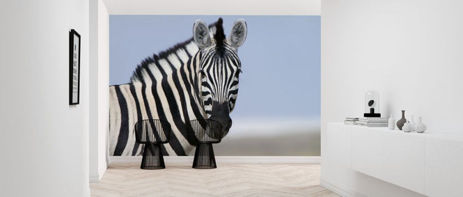 PHOTOWALL / Zebra Looking (e317842)
