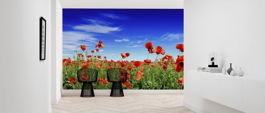 PHOTOWALL / Red Poppies on Green Field (e317845)