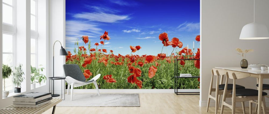 PHOTOWALL / Red Poppies on Green Field (e317845)