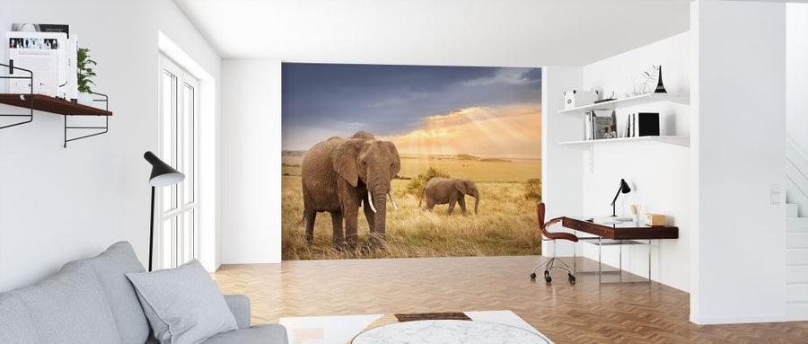 PHOTOWALL / African Elephants in Sunset Light (e317848)