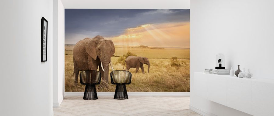 PHOTOWALL / African Elephants in Sunset Light (e317848)