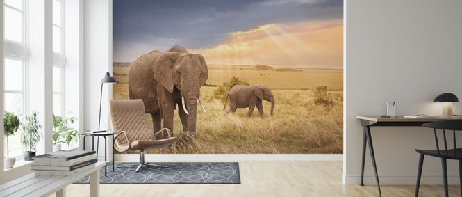 PHOTOWALL / African Elephants in Sunset Light (e317848)