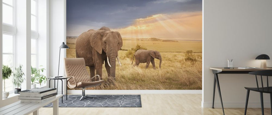PHOTOWALL / African Elephants in Sunset Light (e317848)
