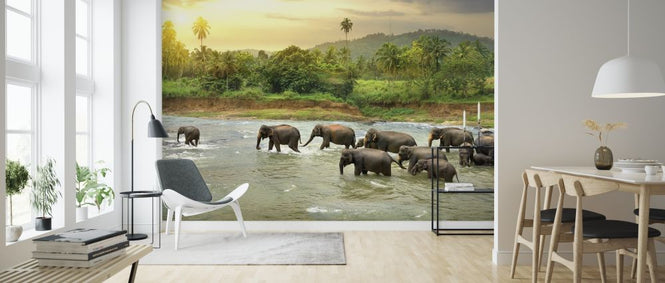 PHOTOWALL / Elephant in River (e317855)