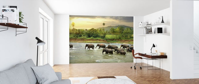 PHOTOWALL / Elephant in River (e317855)