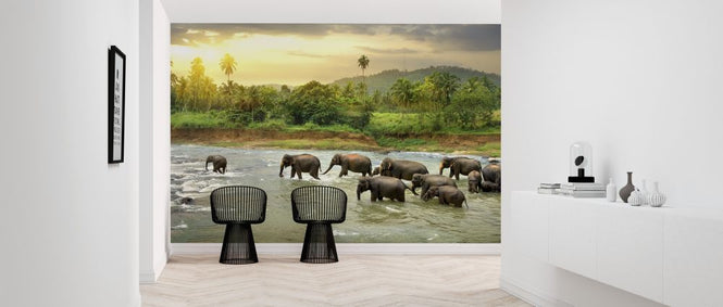 PHOTOWALL / Elephant in River (e317855)