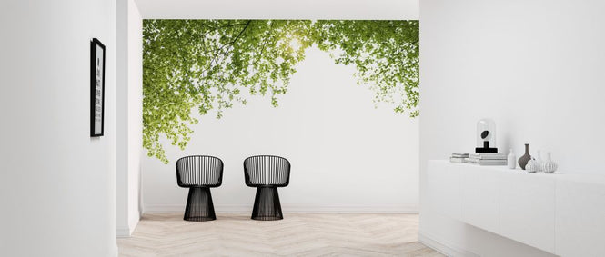 PHOTOWALL / Spring Leaves (e317857)