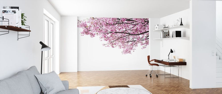 PHOTOWALL / Pink Cherry Blossoms (e317860)