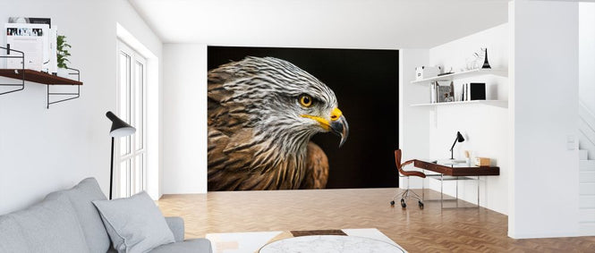 PHOTOWALL / Hawk Portrait (e317862)