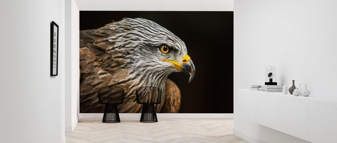 PHOTOWALL / Hawk Portrait (e317862)