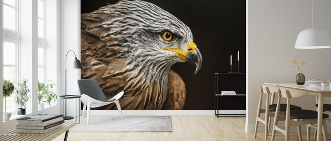 PHOTOWALL / Hawk Portrait (e317862)
