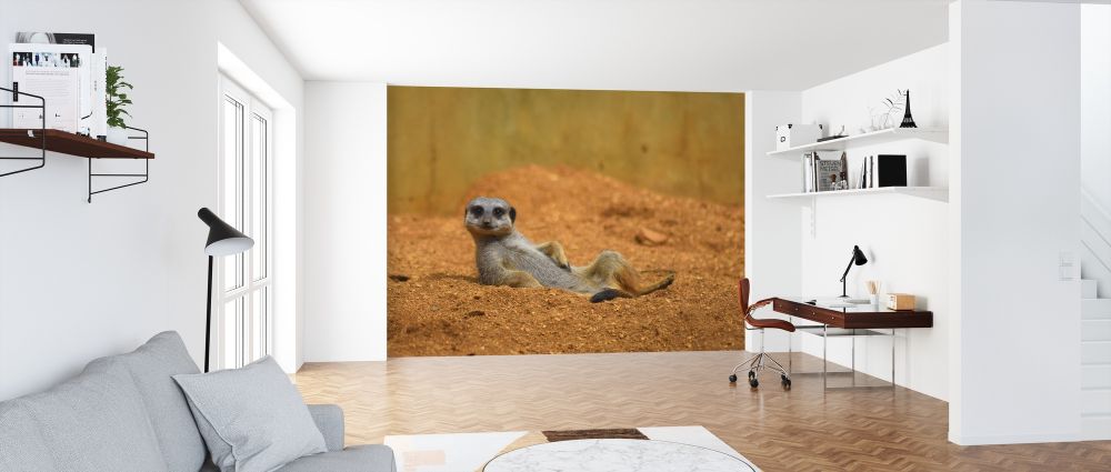 アイヌ　ミニ着物　ルウンペ　白老　ゴザ　テタラペ　ガマ　壁掛け　インテリアに PHOTOWALL / Meerkat Relaxing in the Desert (e317865) | 輸入