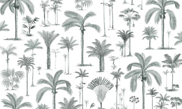 PHOTOWALL / Brazilian Palms - Ash Green (e319274)