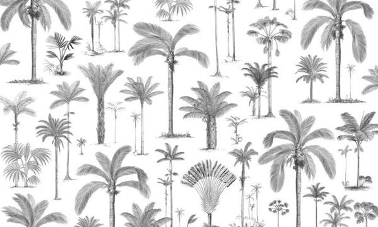 PHOTOWALL / Brazilian Palms - Bw (e319275)