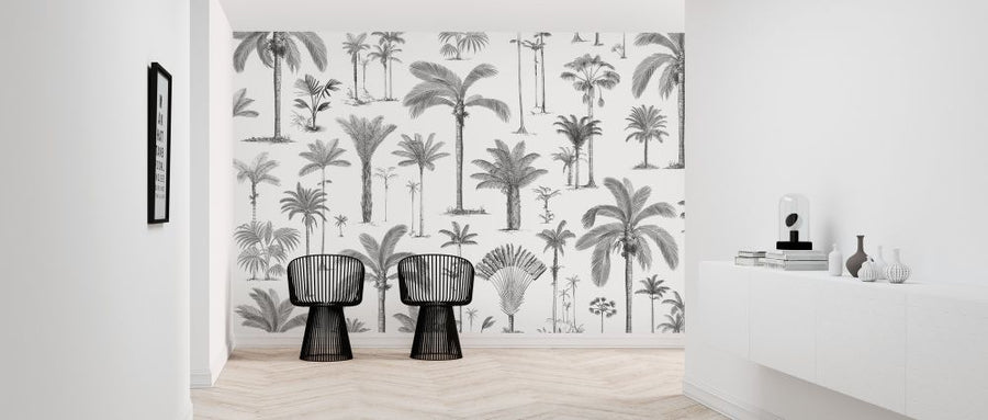 PHOTOWALL / Brazilian Palms - Bw (e319275)