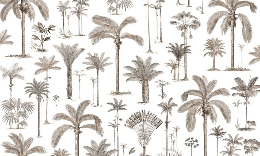 PHOTOWALL / Brazilian Palms - Sepia (e319276)