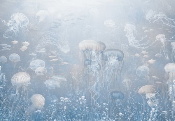 PHOTOWALL / Jellyfish Garden - Blue (e319256)
