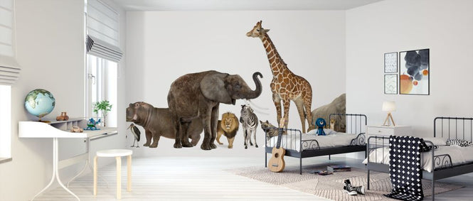 PHOTOWALL / Collection of Wildlife Animals (e317877)