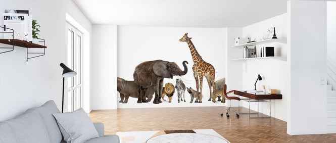 PHOTOWALL / Collection of Wildlife Animals (e317877)