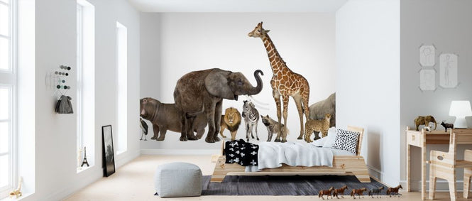 PHOTOWALL / Collection of Wildlife Animals (e317877)