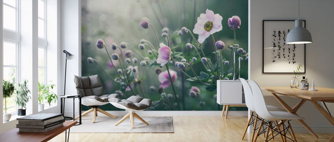 PHOTOWALL / Anemone Flowers in Bloom (e317879)