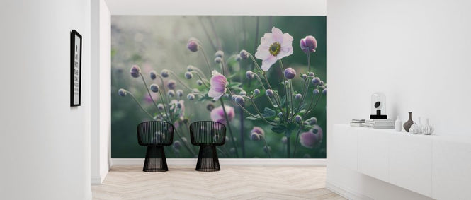 PHOTOWALL / Anemone Flowers in Bloom (e317879)