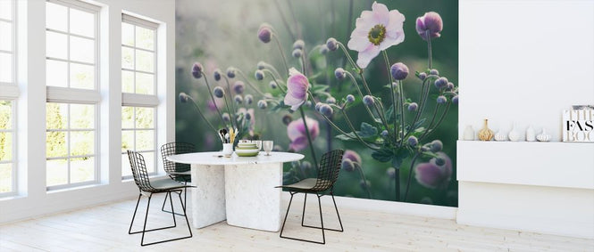 PHOTOWALL / Anemone Flowers in Bloom (e317879)