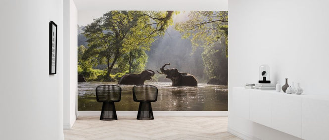 PHOTOWALL / Elephant Playing Water (e317880)
