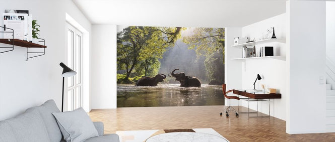 PHOTOWALL / Elephant Playing Water (e317880)