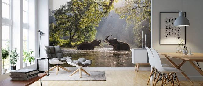 PHOTOWALL / Elephant Playing Water (e317880)