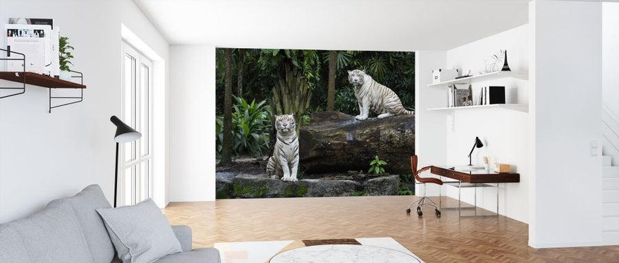 PHOTOWALL / Two White Bengal Tigers (e317884)