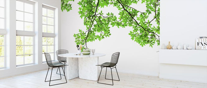PHOTOWALL / Green Leaf (e317885)